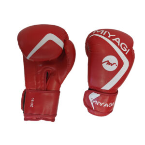 GUANTE PARA BOXEO M01-160