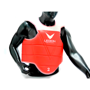 PECHERA TAEKWONDO LEGION