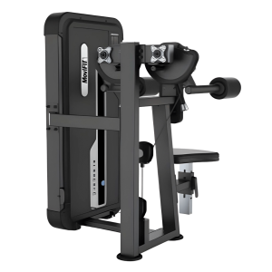 MOVIFIT ELEVACIÓN HOMBRO LATERAL MOV 605A
